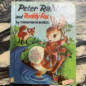 Vintage Book - Peter Rabbit and Reddy Fox, Thornton W Burgess, Pictures ...