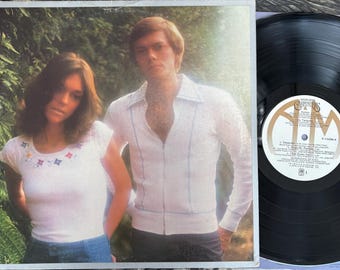 Vintage vinyl - Carpenters, Horizon, A&M, SP 4530, hoes met afbeelding/tekst