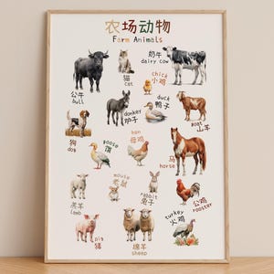 Póster educativo con vocabulario de animales de granja en chino, caracteres mandarín, aprendizaje bilingüe para niños, arte mural, decoración para aulas y guarderías.