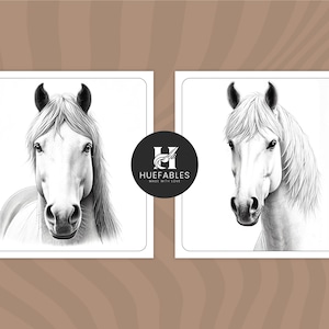 May include: Two black and white pencil drawings of a white horse's head and neck. The horse is looking directly at the viewer. The drawings are on a white background.