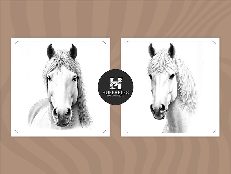 May include: Two black and white pencil drawings of a white horse's head and neck. The horse is looking directly at the viewer. The drawings are on a white background.
