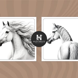 May include: Two black and white pencil drawings of a white horse. The horse on the left is facing the viewer with its head turned to the side. The horse on the right is facing away from the viewer with its head turned to the side. The drawings are on a white background.