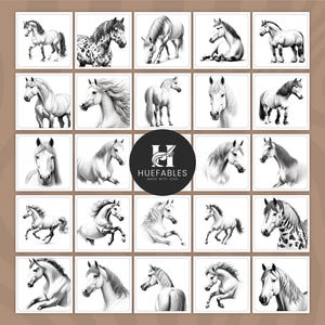 May include: A set of 24 black and white horse illustrations. Each illustration features a different horse breed and pose. The illustrations are drawn in a realistic style and are perfect for use in a variety of projects.