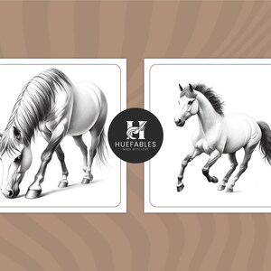 May include: Two black and white pencil drawings of horses. The horse on the left is looking down, while the horse on the right is running. Both horses are drawn in a realistic style.