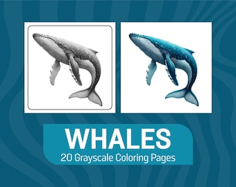 May include: Two images of a whale, one in grayscale and one in blue. The whale is swimming with its mouth open. The text "WHALES 20 Grayscale Coloring Pages" is below the images.