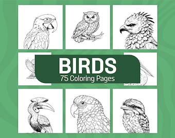 Bird Coloring Book: 75 Bold Line Art Pages (Digital Download)
