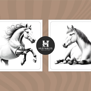 May include: Two black and white pencil drawings of horses. One horse is standing on its hind legs with its head turned to the side. The other horse is lying down with its head resting on its front legs. Both horses have a white coat and a black mane and tail.