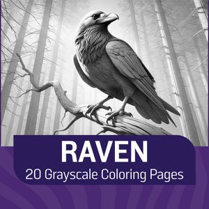 Kleurplaten raaf in grijstinten voor volwassenen | Gotische raaf kleurplaten | Kleurboek vogels | Direct downloaden | Raaf, kraai, corvid