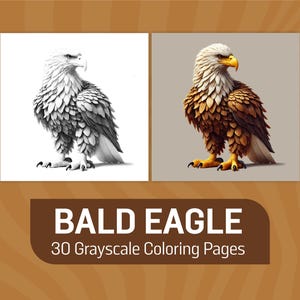 Bald Eagle Coloring Pages | Grayscale Bald Eagle Coloring Sheets for Adults and Kids | Digital Download |  Printable Eagle Coloring Book PDF