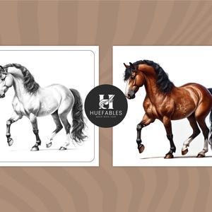 May include: A side-by-side comparison of a horse drawing and a colored illustration of the same horse. The horse is brown with a black mane and tail. The horse is standing with its front leg raised.