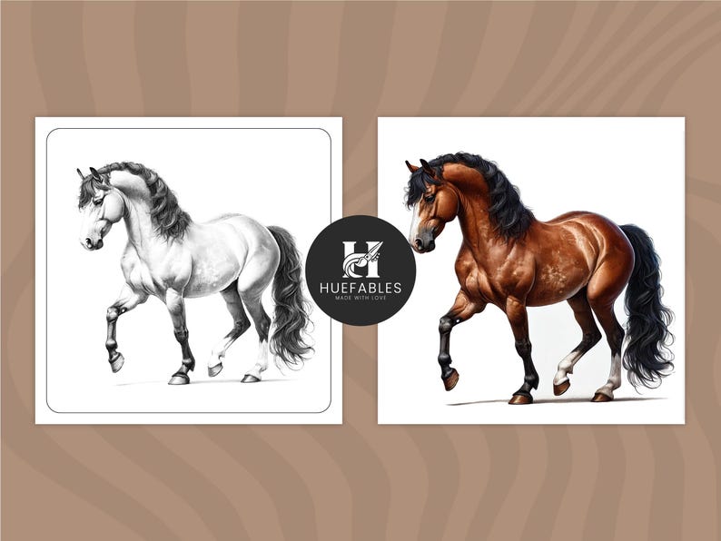 May include: A side-by-side comparison of a horse drawing and a colored illustration of the same horse. The horse is brown with a black mane and tail. The horse is standing with its front leg raised.