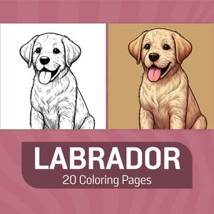 Labrador Coloring Pages for Kids & Adults - Cute Puppy Coloring Sheets - Printable Dog Coloring Book PDF - Adorable Labradors Coloring