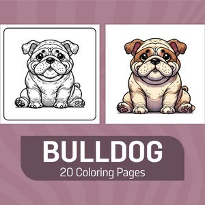 Bulldog Coloring Pages: 20 Printable Dog Designs (PDF Download)