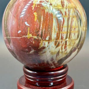 Petrified Wood Sphere