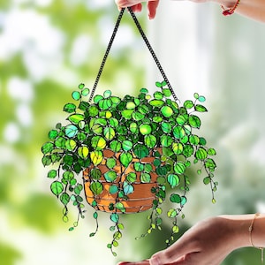 May include: A stained glass hanging planter with a lush, green plant. The planter is a warm brown color and is suspended by a black chain. The plant has many small, round green leaves. The background is a soft, blurred green.