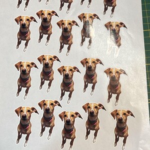 Sticker Personalizzati – Crea il Tuo Adesivo con Nome, Frase o Immagine – Decorazioni per Quaderni, Laptop, Planner – “Offerta Lancio”