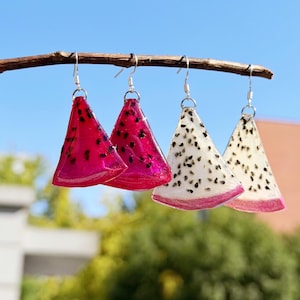 Könnte beinhalten: Vier Paar Ohrringe in Form von Drachenfruchtscheiben, die an einem Ast hängen. Zwei Paare sind leuchtend rosa mit schwarzen Samen, und zwei sind weiß mit schwarzen Samen und rosa Rändern. Die Ohrringe haben silberne Haken.