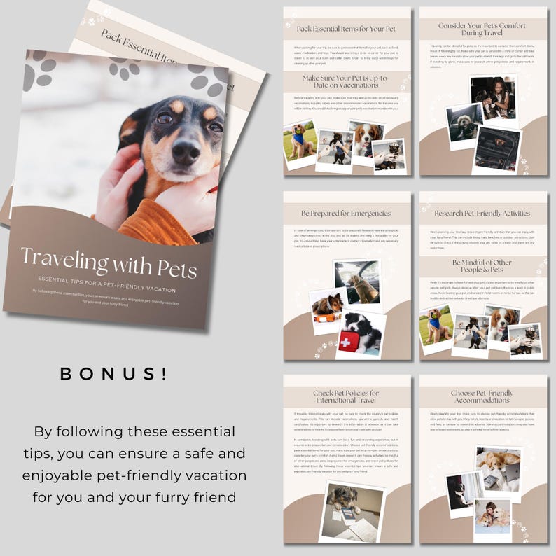 Pet Sitter Form| Pet Sitter Template| Canva Template |Dog Information Template| Pet Sitter Instructions| Traveling With Pets Guide image 6