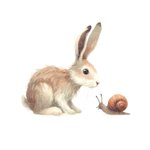 Hase & Schnecke süße Aquarellmalerei, hochwertige digitale Clip-Art, transparenter Hintergrund PNG, 300 Dpi, mit Jpg mit kommerzieller Nutzung.