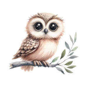 Lindo búho caprichosa ilustración de acuarela, imágenes prediseñadas digitales de alta calidad, fondo transparente PNG, 300 Dpi, Jpg y uso comercial Incl.