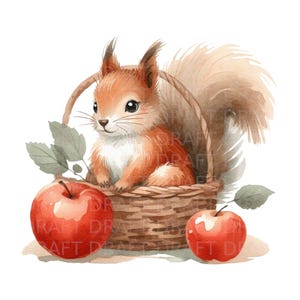 Esquilo com ilustração em aquarela de maçãs de outono, clipart digital de alta qualidade com PNG transparente, 300 Dpi, Jpg e uso comercial inc.