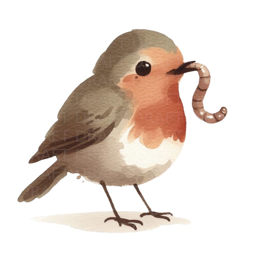 Whimsy Robin Whimsical Robin Bird Watercolour Illustration, High Quality Digital ...