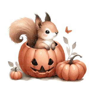 May include: A cute brown squirrel sits inside a carved orange pumpkin with a jack-o'-lantern face. A smaller orange pumpkin sits next to the larger pumpkin. A small orange butterfly flies above the pumpkin.