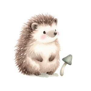 かわいいハリネズミの水彩イラスト、高品質のデジタルクリップアート、透明な背景の PNG、300 Dpi、Jpg 付き、商用利用を含む。