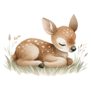 Baby Reh, schlafendes Rehkitz Aquarell Illustration, hochwertige digitale Clipart, transparente PNG, 300 Dpi, Jpg und kommerzielle Nutzung Inkl.