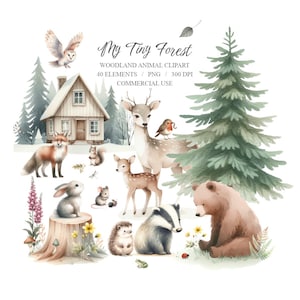 Pacchetto clipart animali del bosco dell'acquerello, set PNG della foresta, cerbiatto, cervo, volpe, tasso, coniglio, clip art dell'orso. Decorazione da parete per vivaio nella foresta magica.