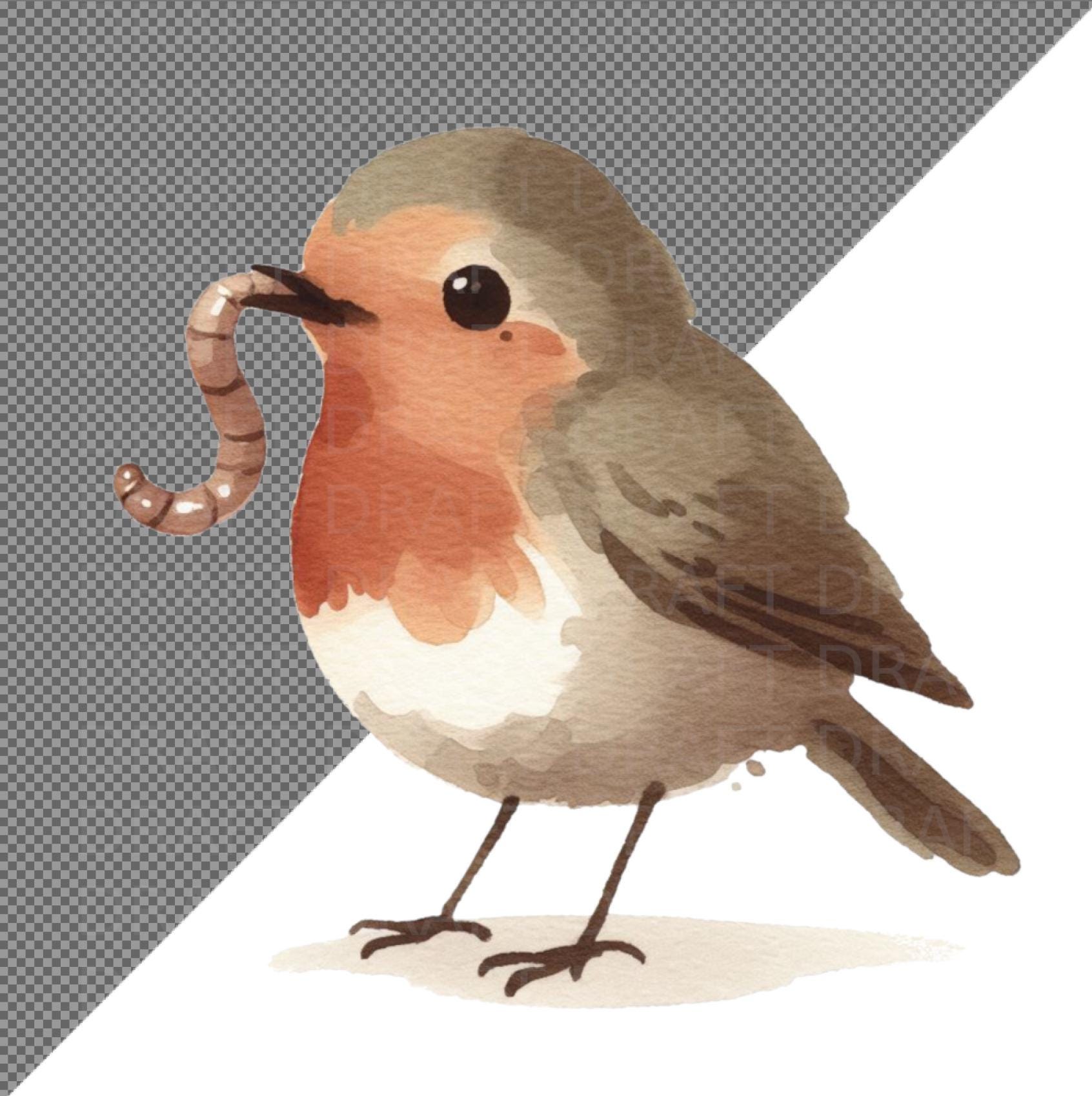 Whimsy Robin Whimsical Robin Bird Watercolour Illustration, High Quality Digital ...