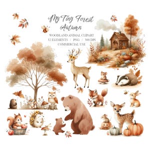 Forêt d'automne, ensemble de cliparts fantaisistes d'animaux des bois, ensemble PNG aquarelle faon, cerf, renard, blaireau, lapin, ours, clipart mignon de souris