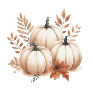 White Autumn Halloween Pumpkins watercolour illustration high quality digital clipart, transparent PNG, 300 Dpi, with Jpg and commercial use