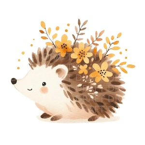 Ilustración de acuarela de erizo y flores de otoño, clipart digital de alta calidad, PNG transparente, 300 Dpi, con Jpg y uso comercial.