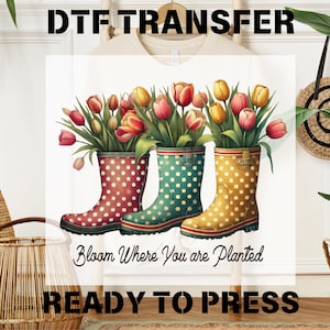 May include: A white t-shirt with a design of three colorful rain boots filled with tulips. The text "Bloom Where You Are Planted" is below the boots. The text "READY TO PRESS" is at the bottom of the shirt.