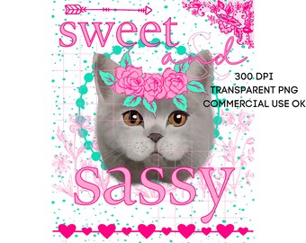 Cute Gray Cat Sweet and Sassy PNG Southern Prep Simply Adorable Animal Flower Crown Instant Digital Download Sublimation Print on Demand