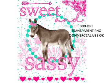 Cute Donkey Sweet and Sassy PNG Southern Prep Simply Adorable Animal Flower Crown Instant Digital Download Sublimation Print on Demand