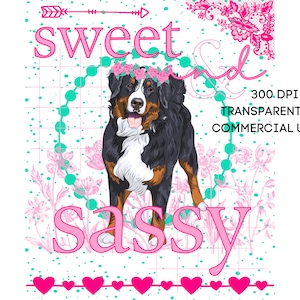 Süßer Berner Sennenhund Süß und Frech PNG Südlichen Prep Einfach entzückend Tier Blumenkrone Sofortiger digitaler Download Sublimation POD