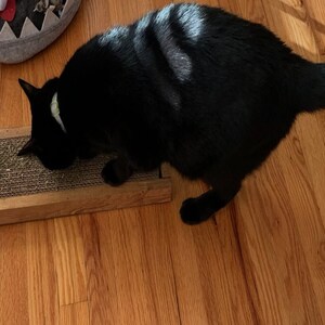 Handmade Cat scratcher furniture for cats and kitties that far outlasts the cardboard versions.