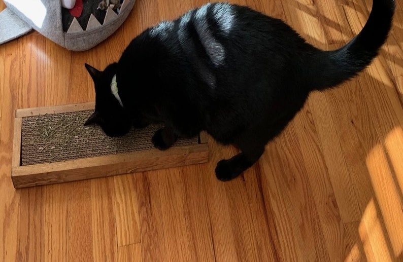 Handmade Cat scratcher furniture for cats and kitties that far outlasts the cardboard versions.