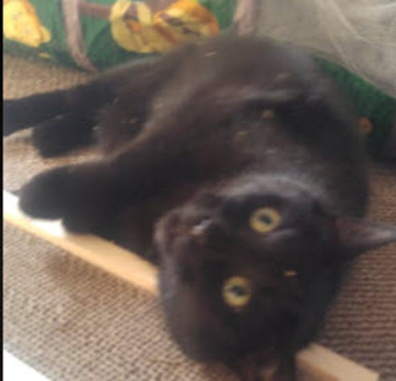 Handmade Cat scratcher furniture for cats and kitties that far outlasts the cardboard versions.