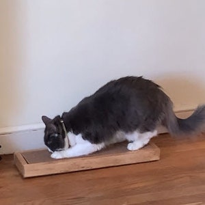 May include: A gray and white cat scratching a rectangular wooden scratching post with a textured surface.