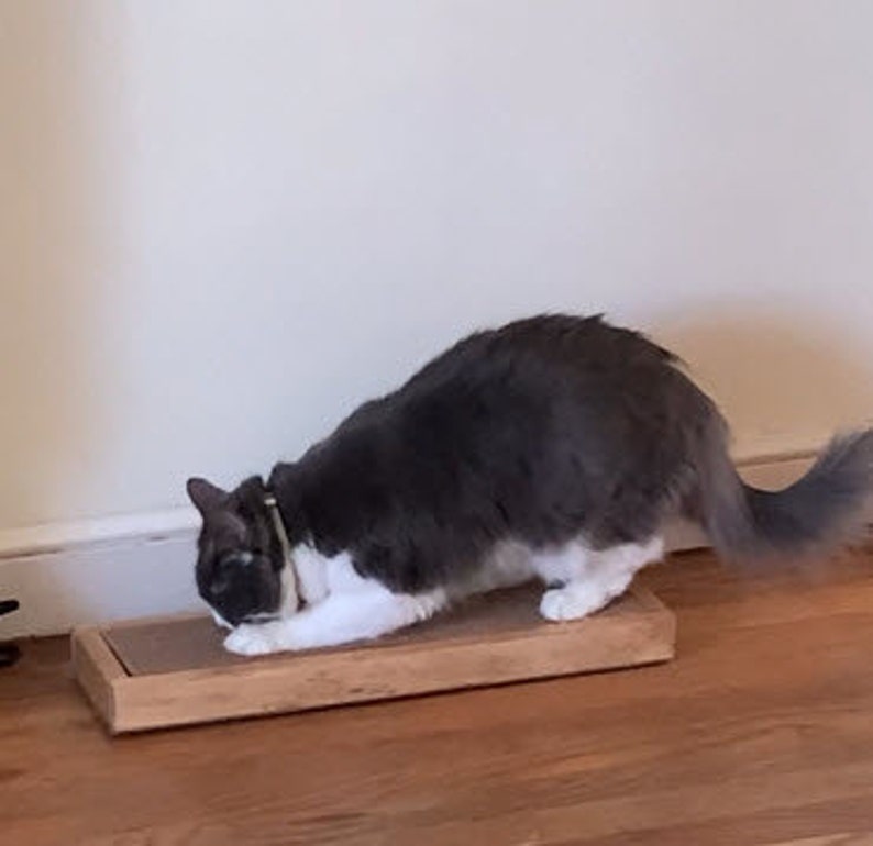 May include: A gray and white cat scratching a rectangular wooden scratching post with a textured surface.