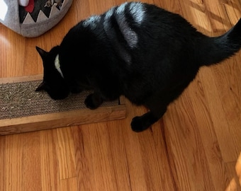 Deluxe Cat Scratcher Toy Bundle, Purrfect For Kitties And Cats!