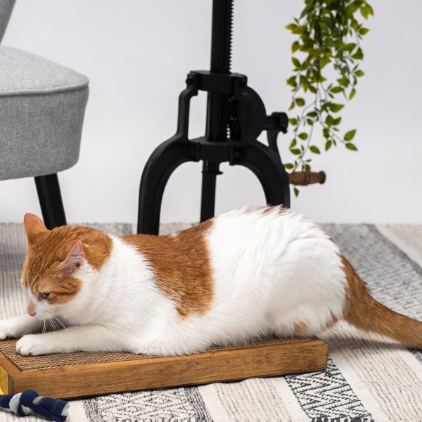 Cat Scratcher Etsy