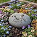 Personalized Pet Paw Memorial Stone | Dog Loss Sympathy Gift | Custom Cat Grave Marker | Engraved River Rock product logo