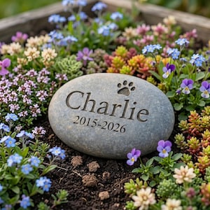 Puede incluir: Una piedra gris grabada con el nombre "Charlie", una huella de pata y las fechas 2015-2026. La piedra está rodeada de flores y vegetación coloridas, creando un entorno de jardín conmemorativo.