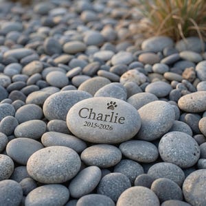 K&ouml;nnte beinhalten: Ein glatter, hellgrauer Gedenkstein mit dem eingravierten Namen Charlie, einem kleinen Pfotenabdruck-Symbol und den Jahreszahlen 2015-2026. Der Stein ist oval geformt, hat eine matte Oberfl&auml;che und liegt inmitten &auml;hnlicher grauer Flusskiesel.