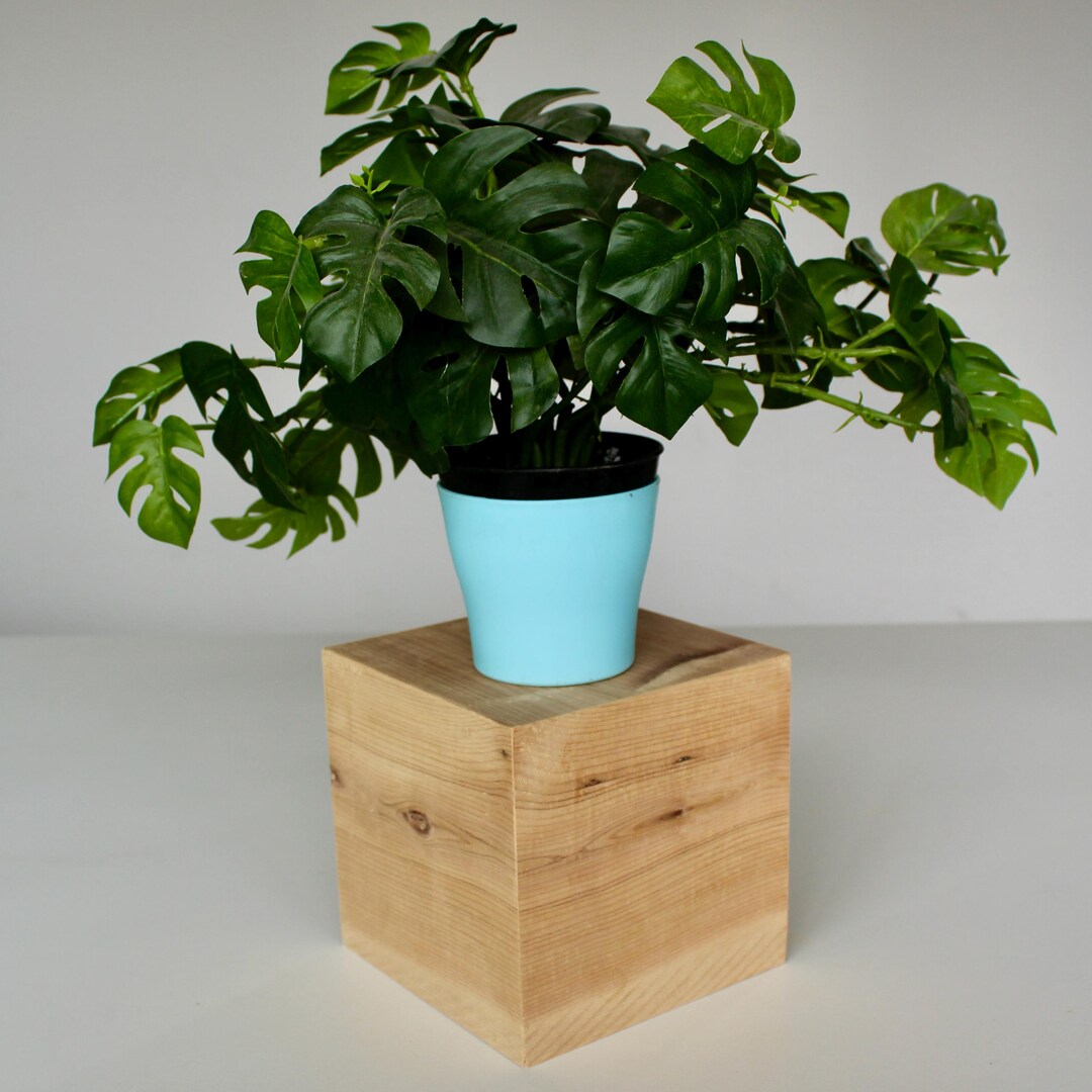 Picaso Plant Stand Display Riser - Etsy