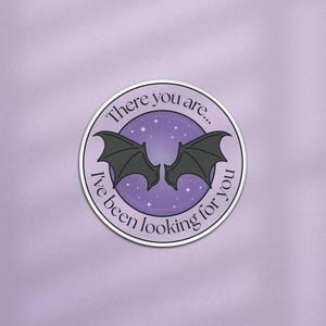 There You Are I've Been Looking For You ACOTAR Kindle Sticker, ACOTAR Sticker, Batboy Sticker, Fantasy Book Lover Gift, Romantasy Sticker